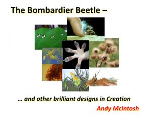 The Extraordinary Bombardier Beetle - Dr. Andy McIntosh @ Gleneagle Club House | Arlington | Washington | United States