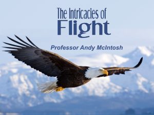 The Intricacies of Flight - Dr. Andy McIntosh @ Atonement Free Lutheran Church | Arlington | Washington | United States