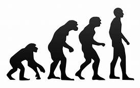What About ... Human Evolution? - Carl Kerby @ Summit Park Bible Church